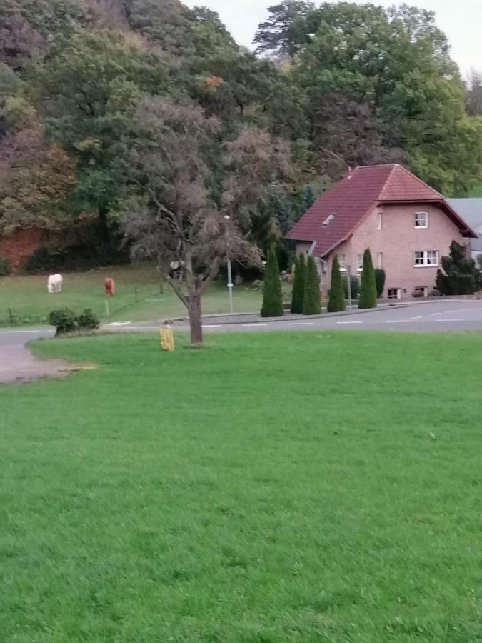 Ferienwohnung Eva Mechernich Bagian luar foto