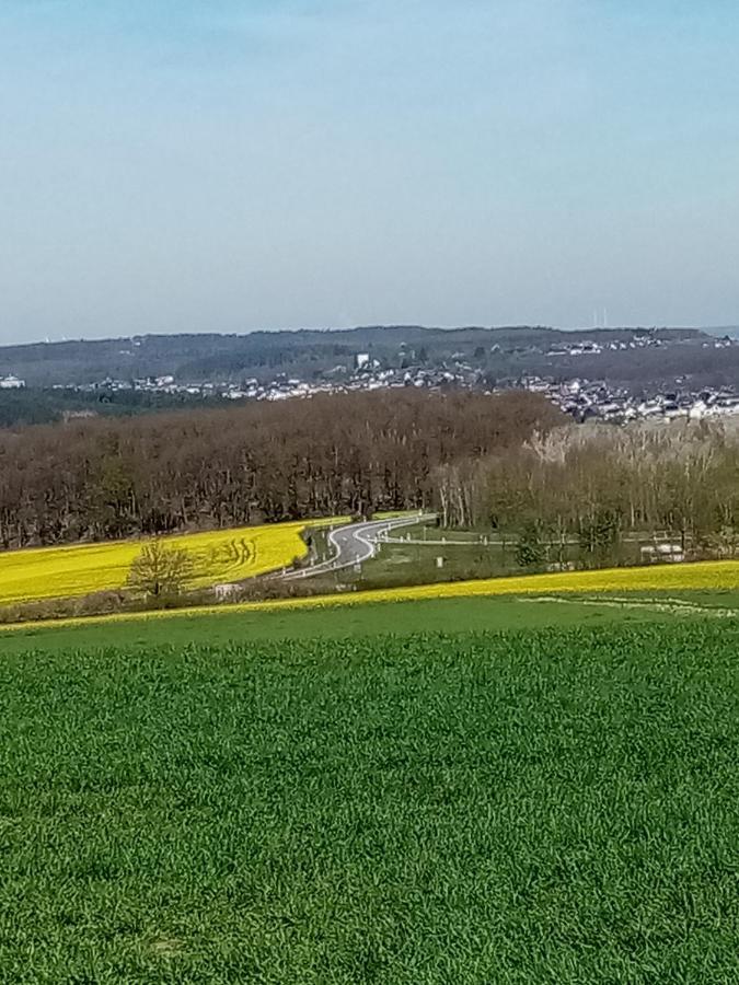 Ferienwohnung Eva Mechernich Bagian luar foto